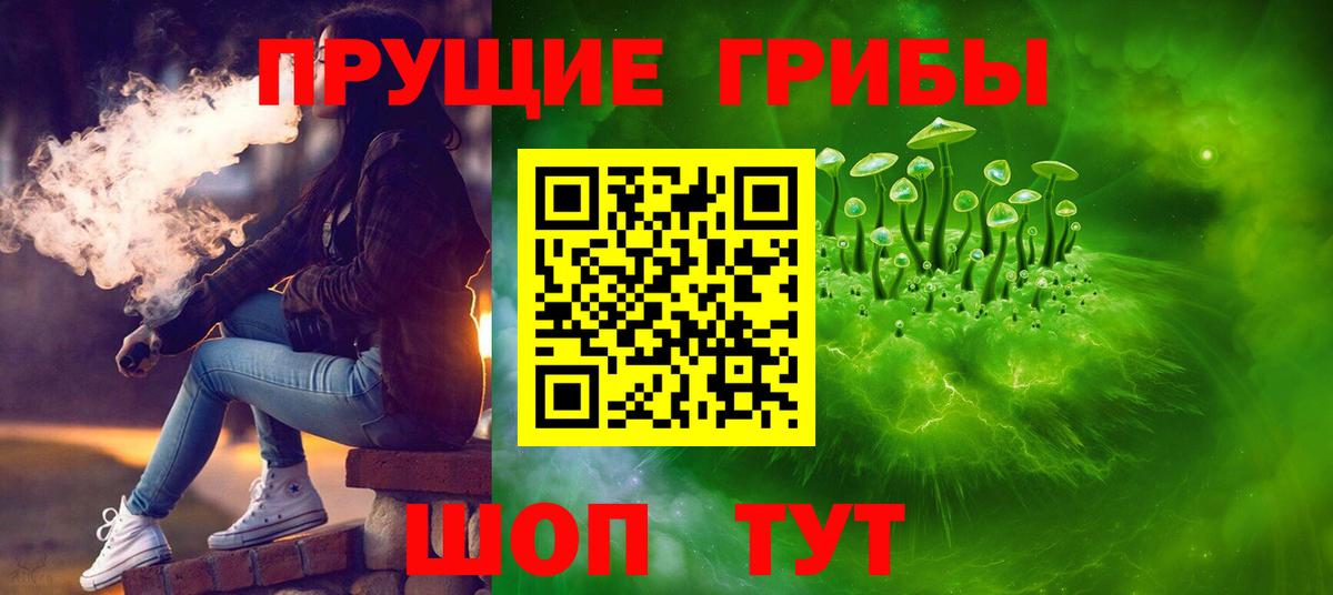 Псилоцибиновые грибы MAGIC MUSHROOMS  Вход с VPN  Чистополь 